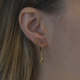 ❄️ Créole Sacha solo