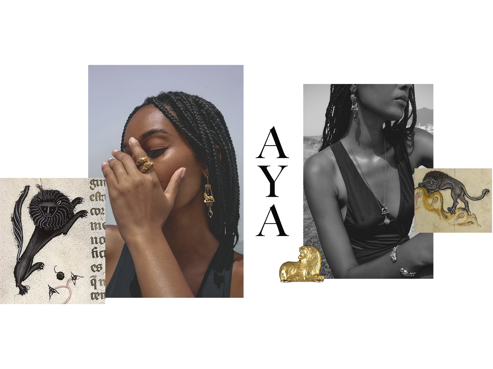 Image de diapositive