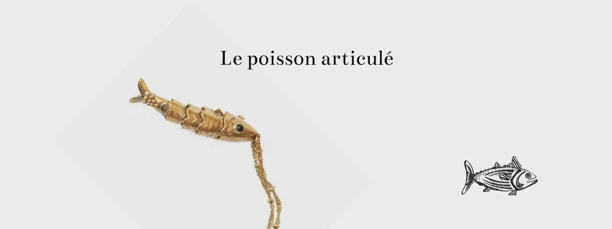 Image de diapositive